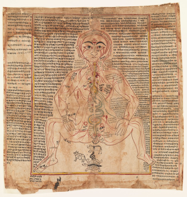 Wellcome Collection, Gujarati Anatomical Man